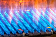 Tannach gas fired boilers